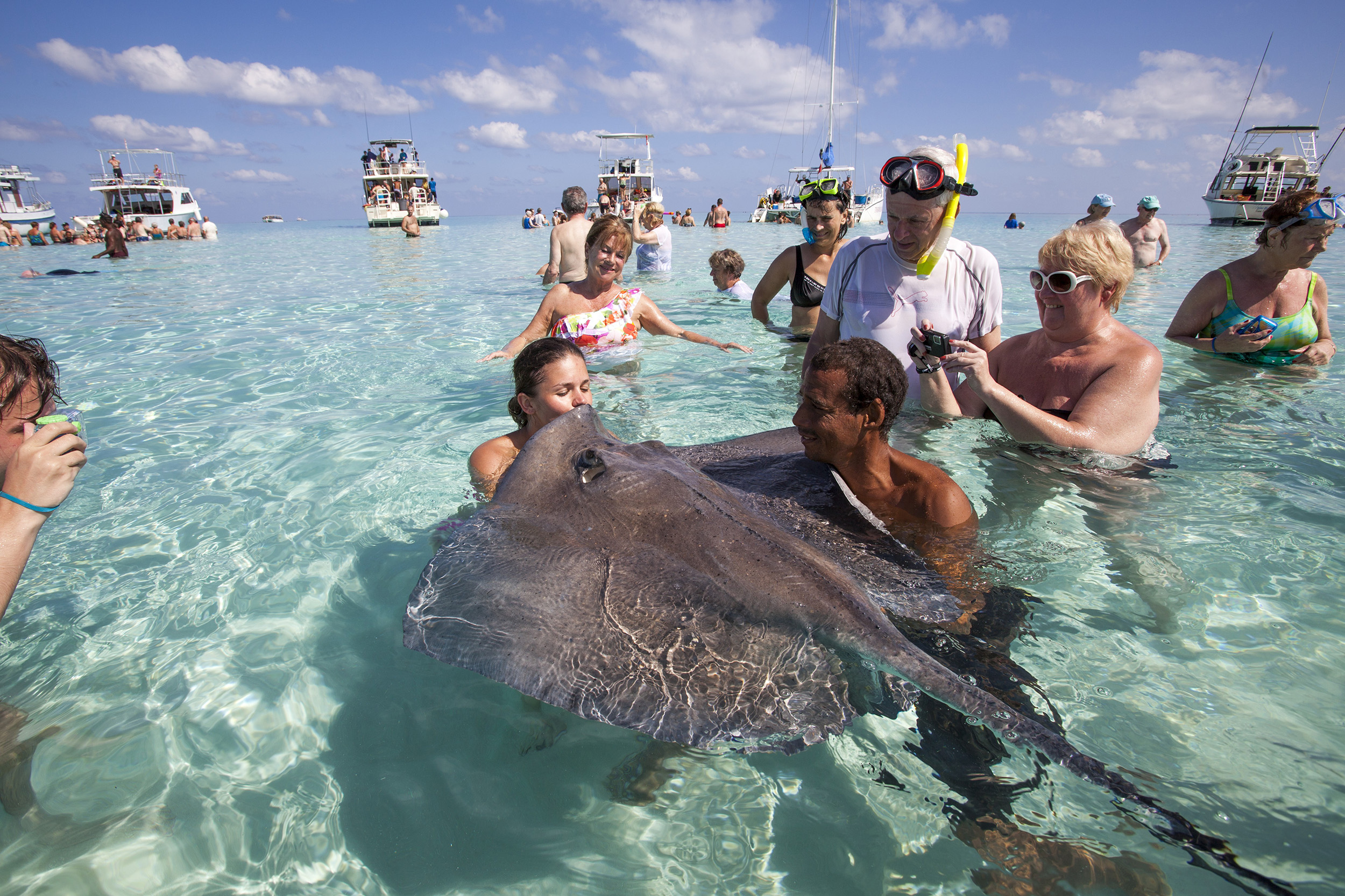 FISH FEEDING